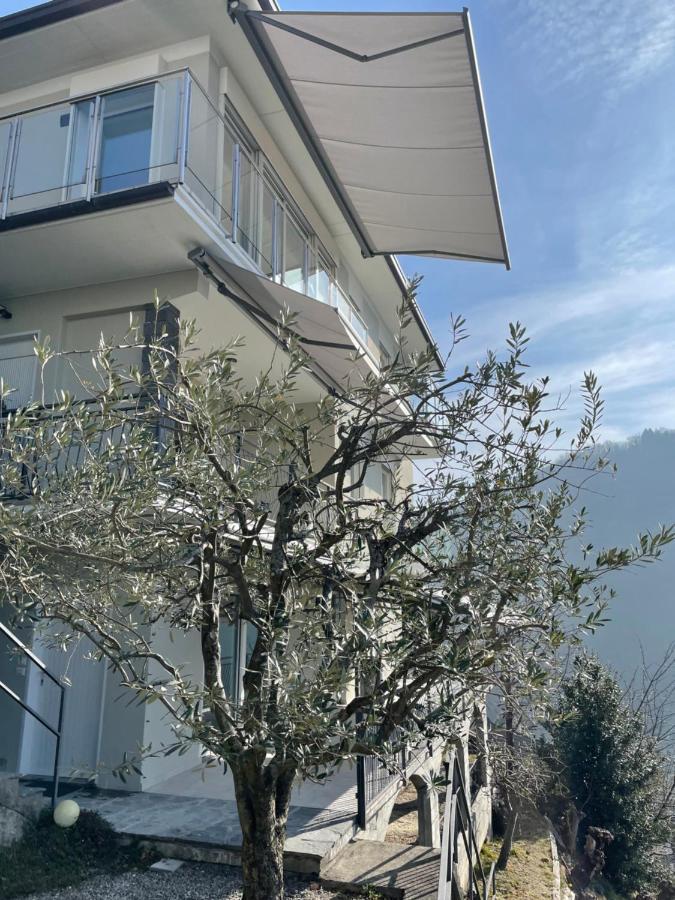 Casa Colmegna Mit Traumhaften See- Und Bergblick Luino Eksteriør bilde