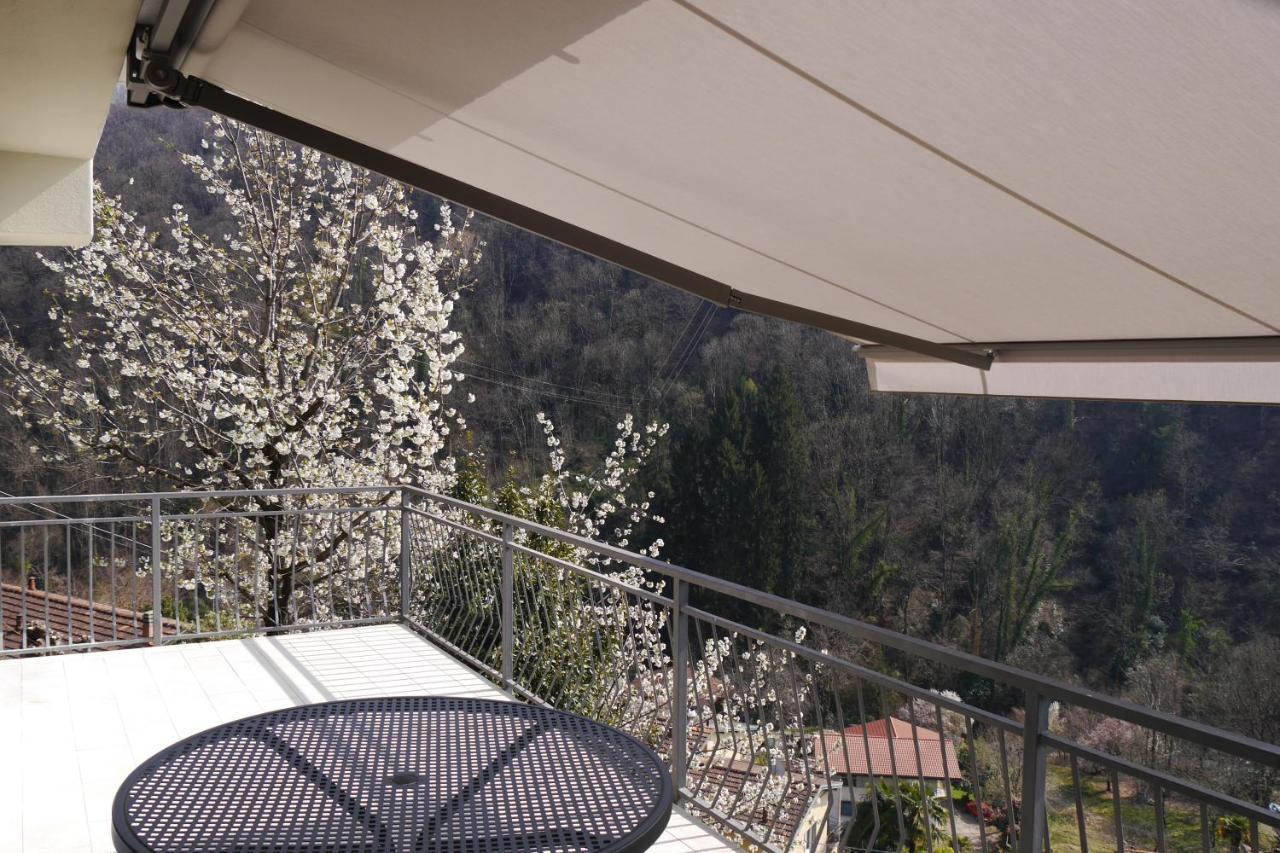 Casa Colmegna Mit Traumhaften See- Und Bergblick Luino Eksteriør bilde